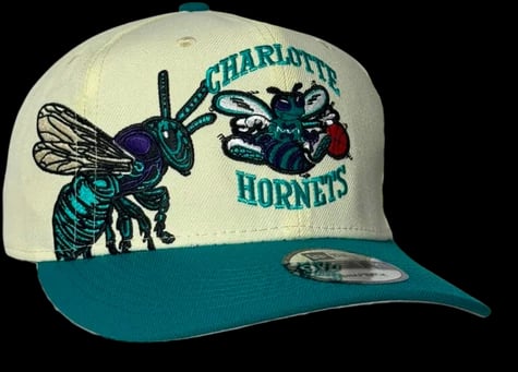 Charlotte Hornets Illustrated Mascot — foto 1